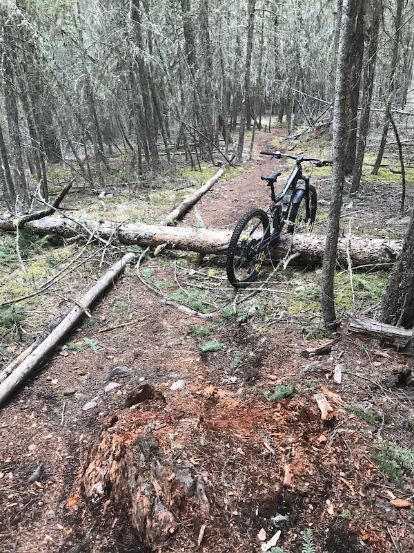 Shuttlebunny Mountain Biking Trail Williams Lake