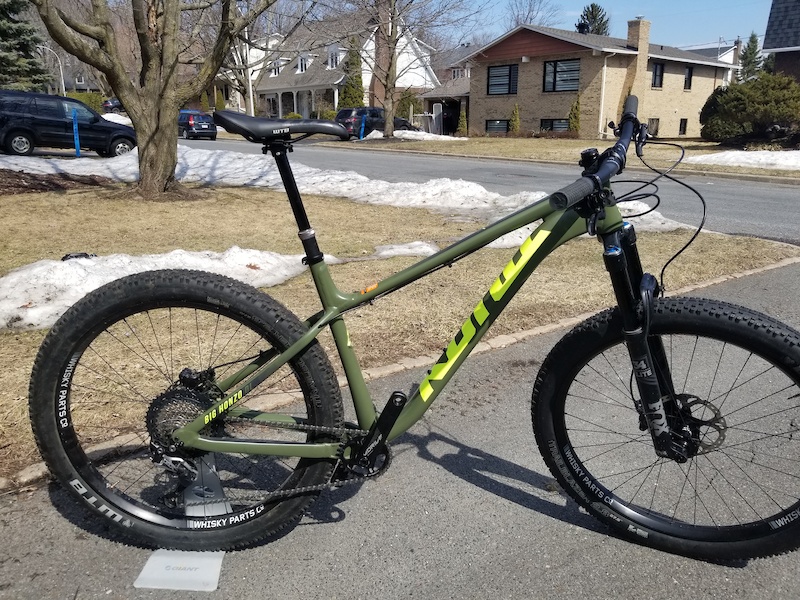 kona honzo 2018 review