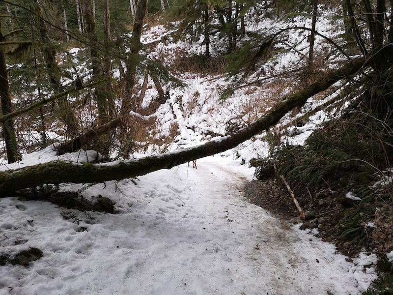 Hyannis Trail Multi Trail North Vancouver, BC