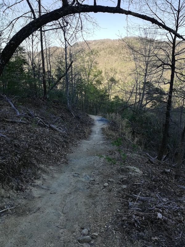 Buffalo Creek Park Multi Trail Lake Lure, NC