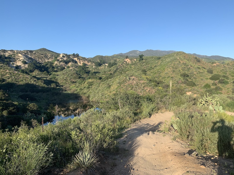 travis cactus trail
