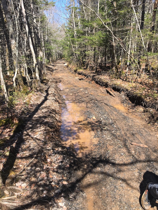 Fire Road Multi Trail Halifax, Nova Scotia