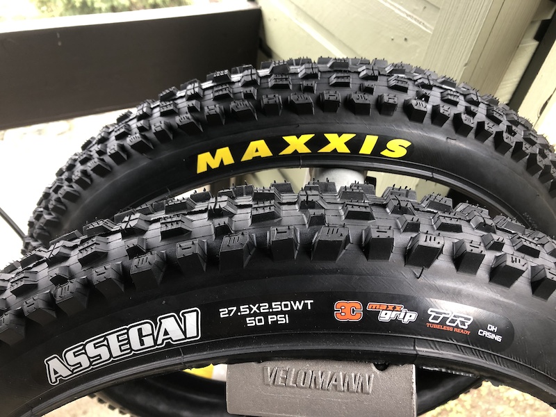 maxxis assegai 2.4