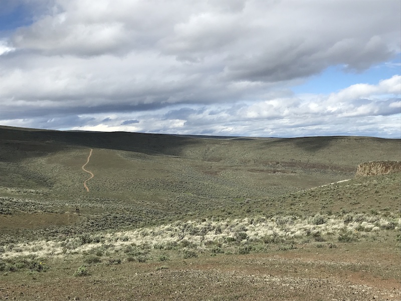 Skookumchuck Road Multi Trail Vantage, Washington