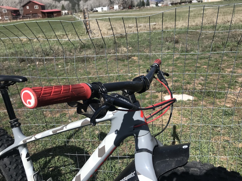 2019 specialized fatboy comp carbon