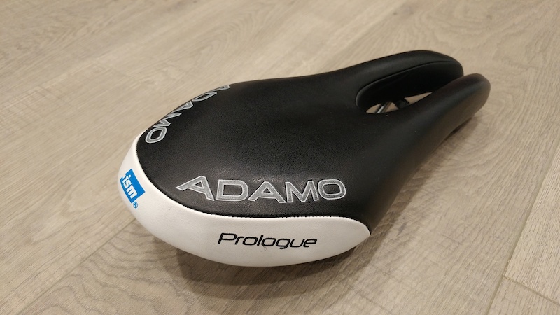 Adamo prologue online saddle