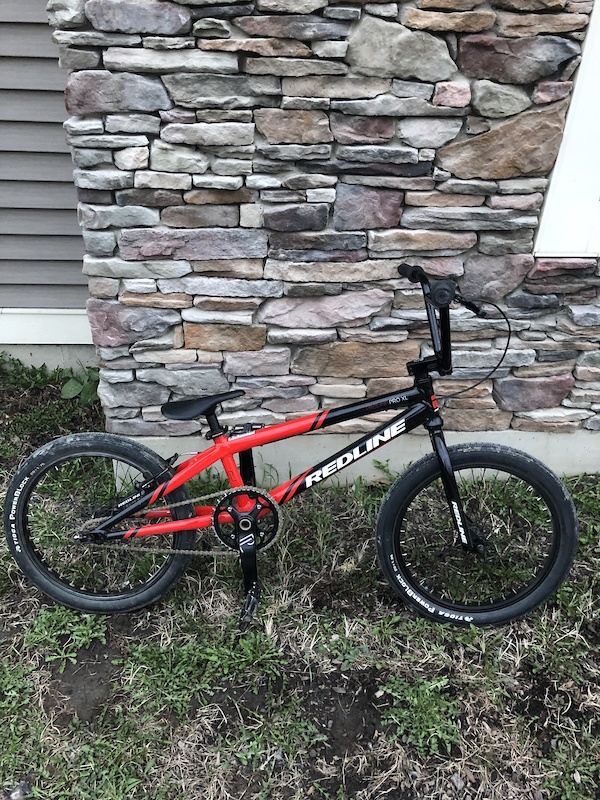 redline proline expert xl