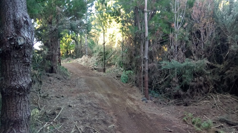 in New Plymouth, New Zealand - photo by Kiwimatt - Pinkbike