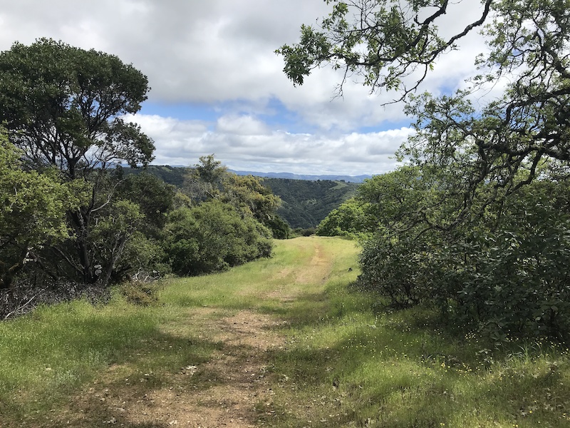 Oak Knoll Multi Trail - Geyserville, California