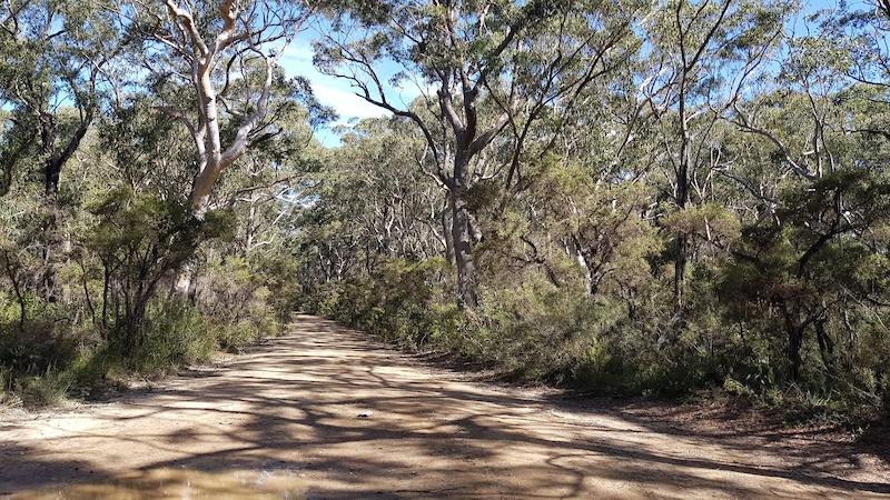 Griffins Fire Trail Mountain Biking Trail - Nowra