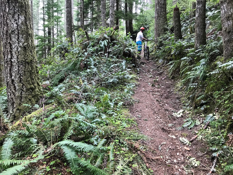 Perimeter Trail Mountain Biking Trail Salem, Oregon