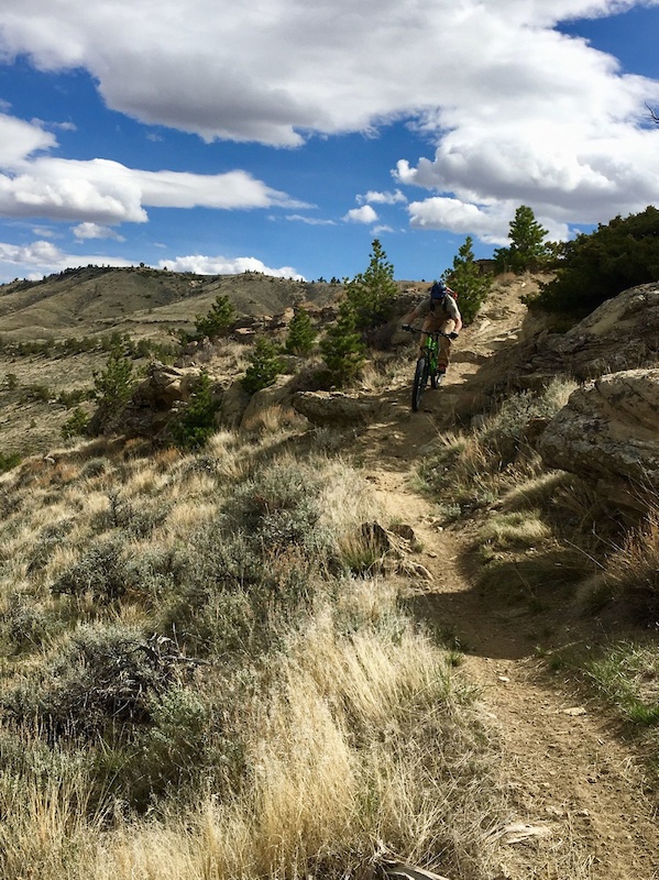 Cub Creek Mountain Biking Trail Belfry, Montana