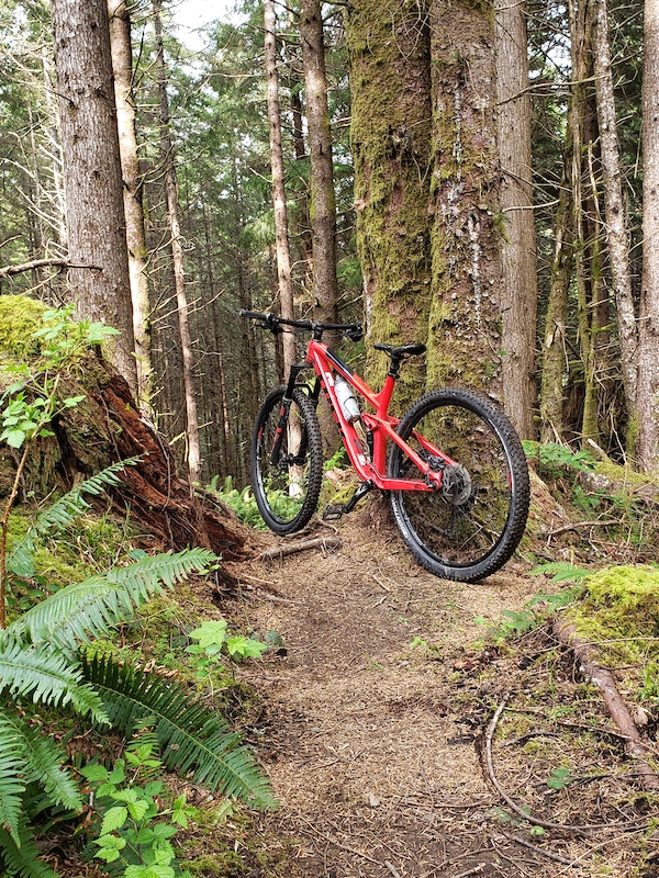 Riding Newport, Oregon Mountain Bike Trails