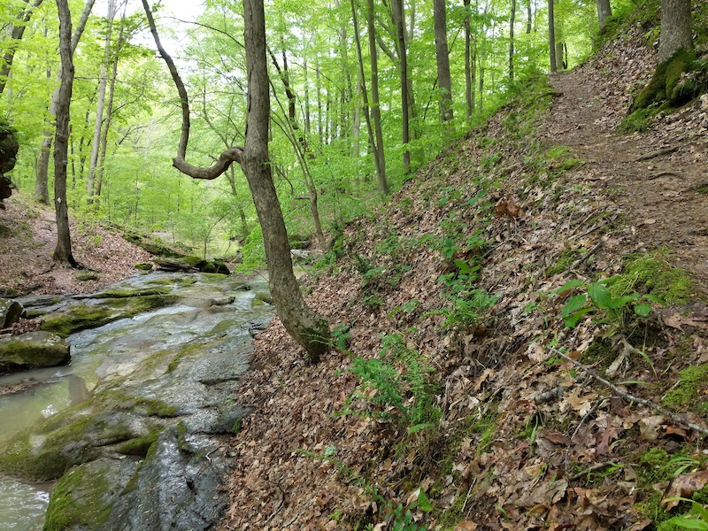 Kinkaid Lake Trail Multi Trail Murphysboro, Illinois
