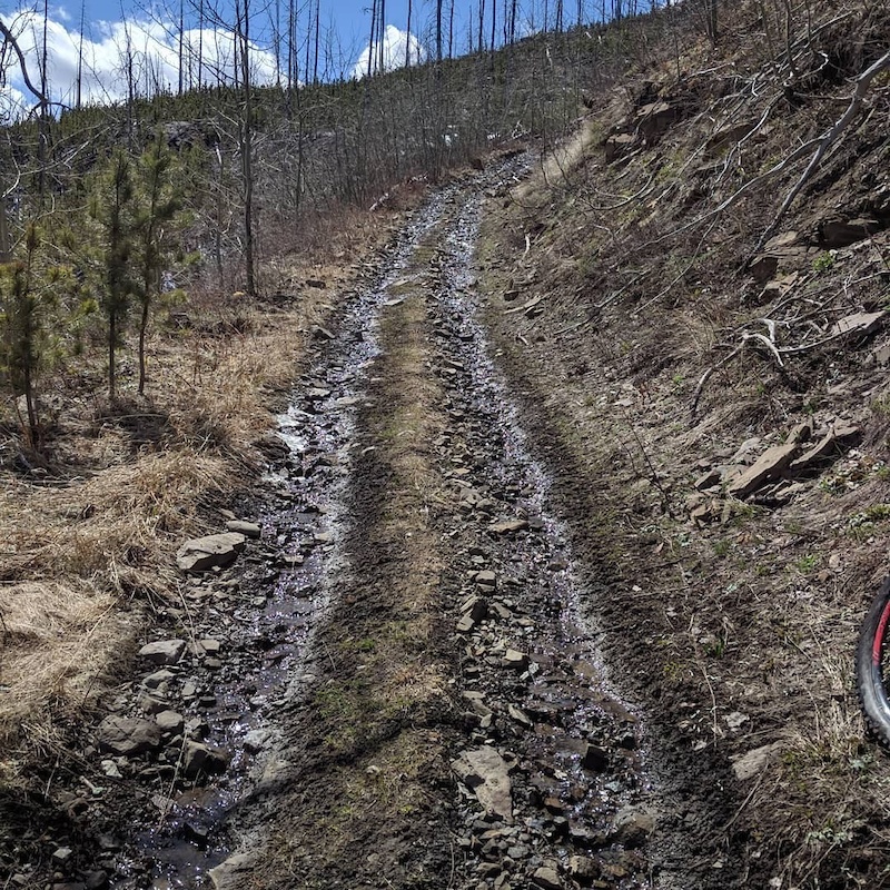Drum Creek Mountain Biking Trail Hillcrest, Alberta