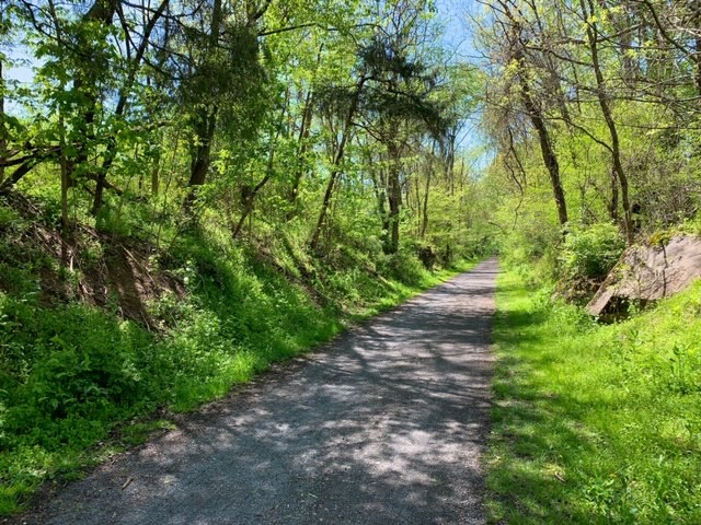 Cruising the lane Near the Abingdon Trailhead.