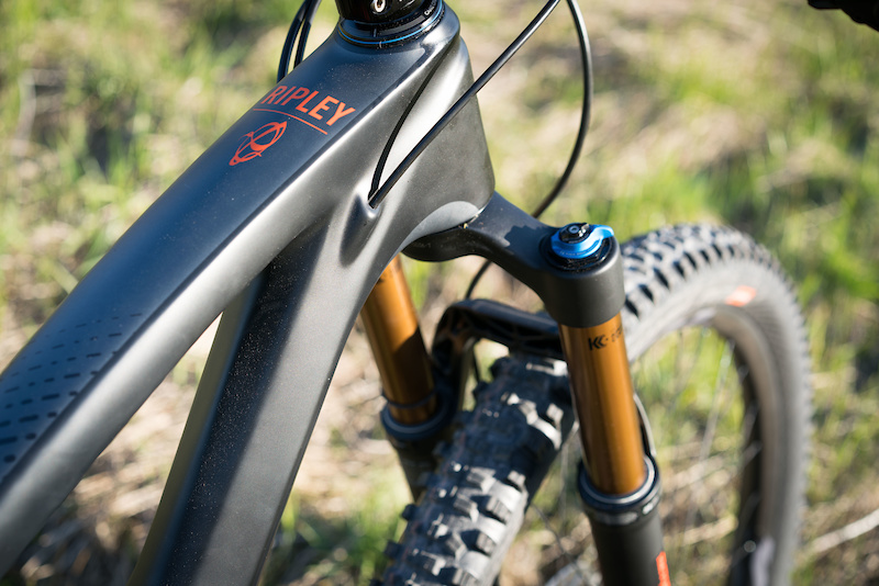 ibis ripley 2019 review