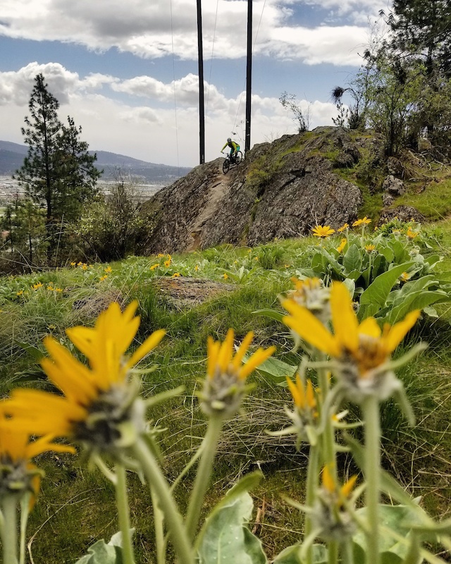 Jane Patten at Zipper in Spokane, Washington, United States photo by