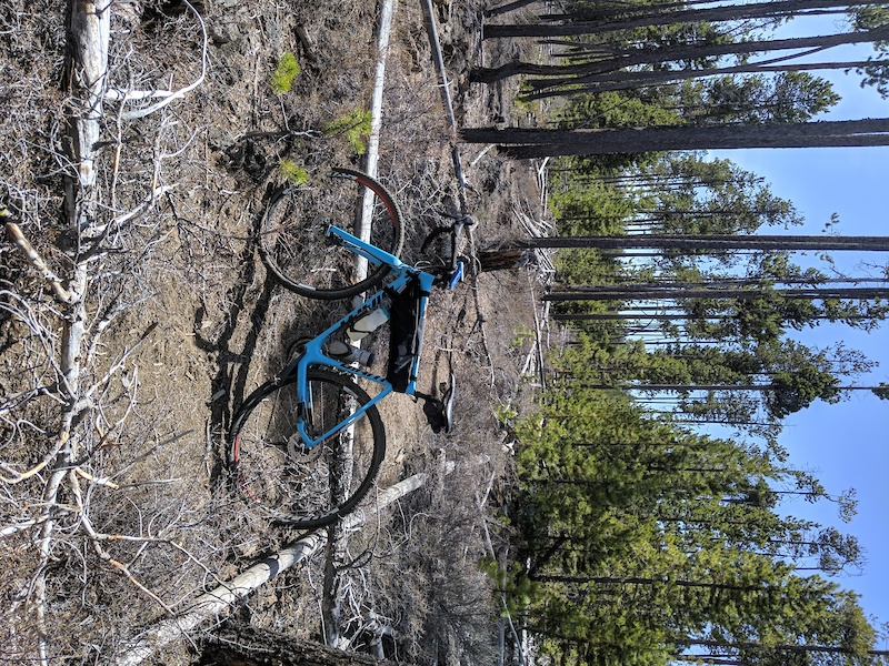 Swamp wells horse outlet camp