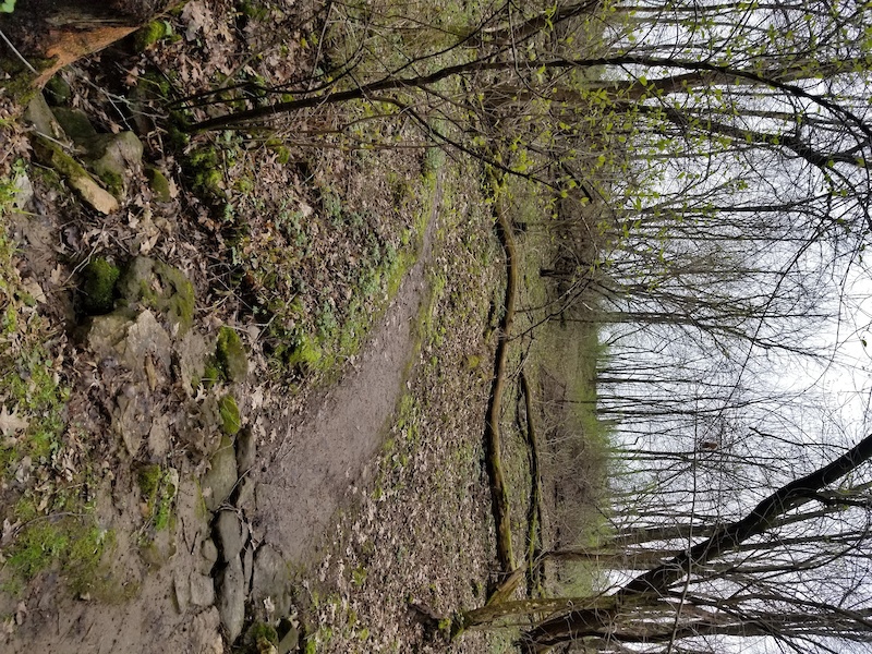 Quarry Trail Mountain Biking Trail La Crosse, Wisconsin