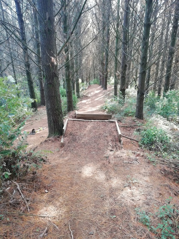 cougar mountain bike trails