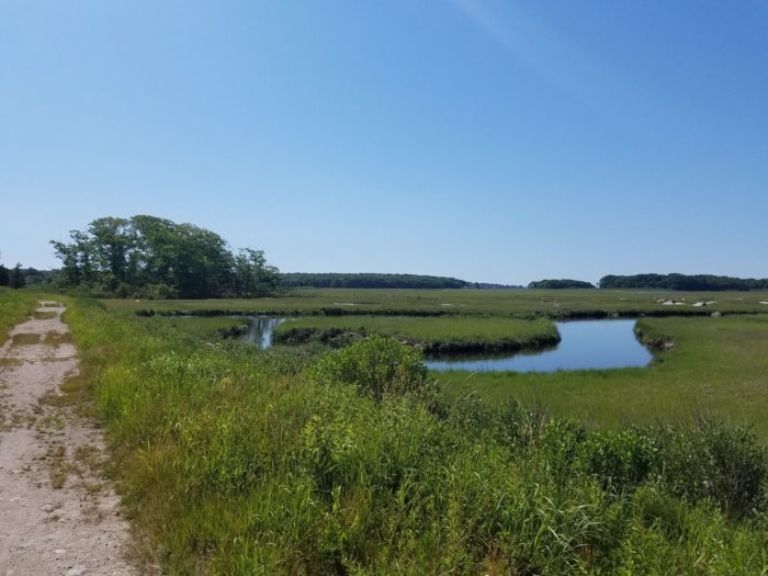 Barn Island Wildlife Management Area Stonington Mountain Biking