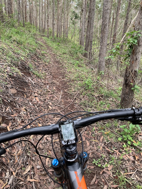 Why Is It Called Bog Roll at Jonathan Balke blog