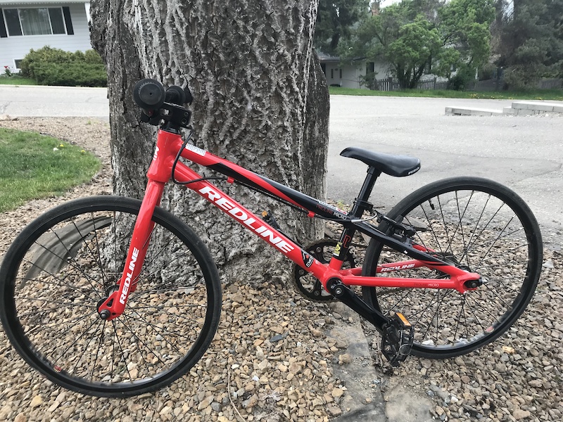 24 inch beach bike