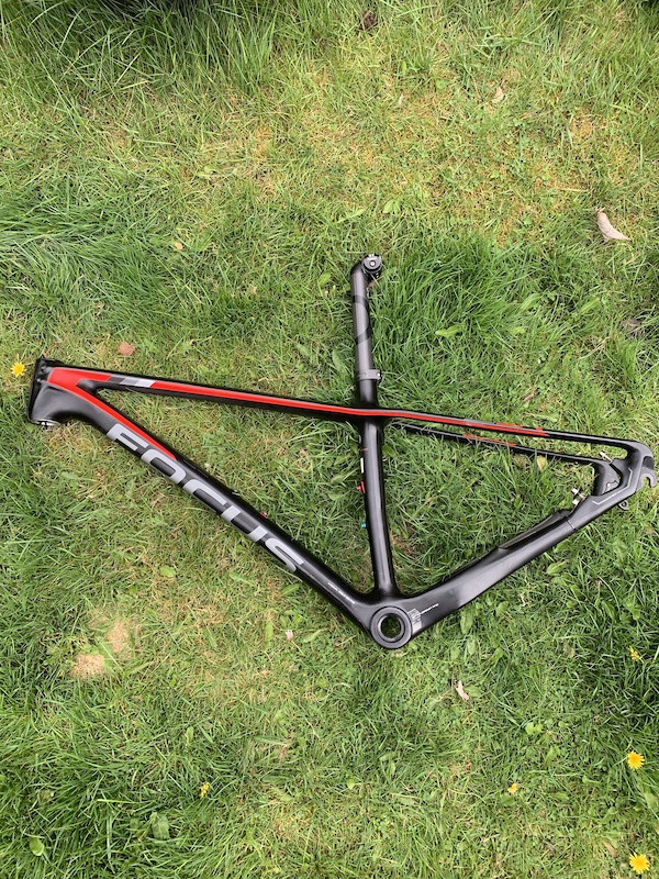focus raven frame