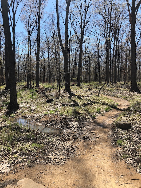 Jakes Rocks, Warren Mountain Biking Trails | Trailforks