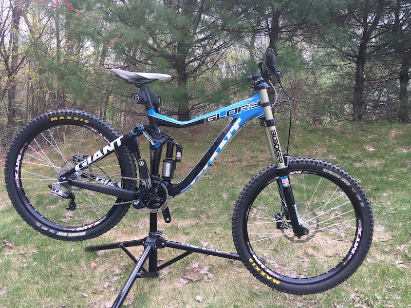 giant glory 2 2014