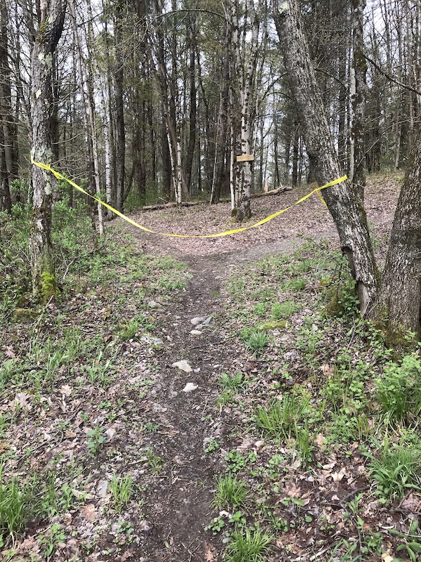 Bumper Cars Mountain Biking Trail Poultney, Vermont
