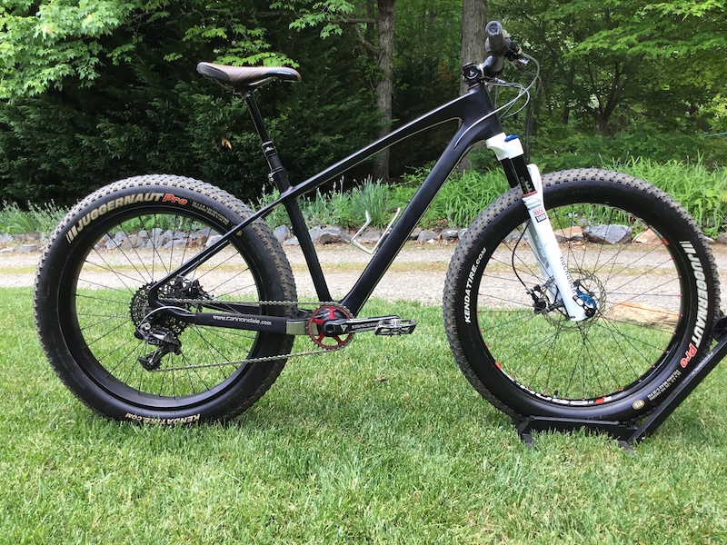 carbon fat bike