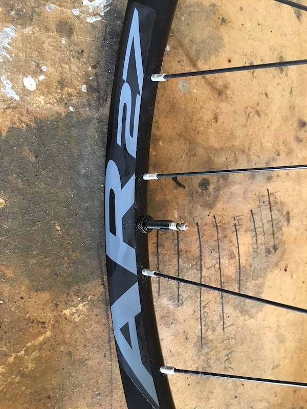 in Taylors, South Carolina, United States photo by clemsonrider