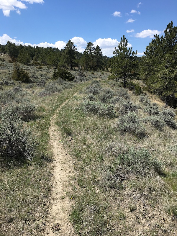 Southwest Mountain Biking Trail Billings, Montana