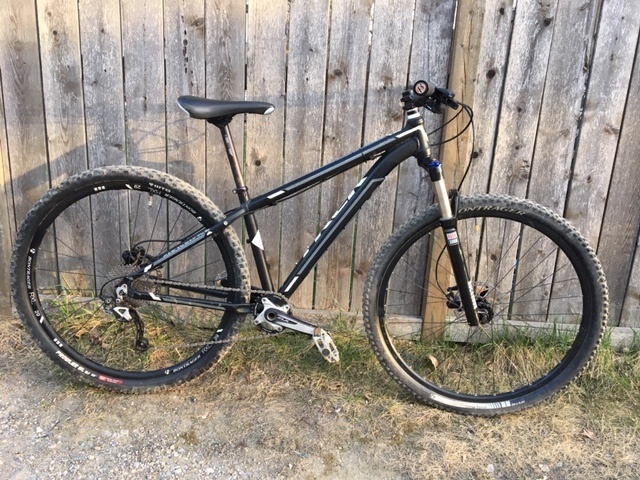 Trek Mamba 29er Small 1x10 Hydro Disc Air Fork For Sale