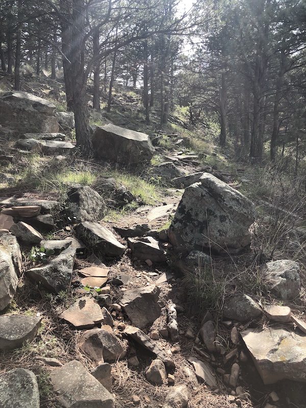 Carter Lake, Loveland Mountain Biking Trails Trailforks