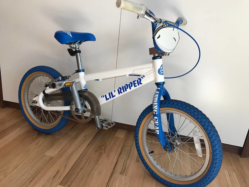 Little ripper clearance bike