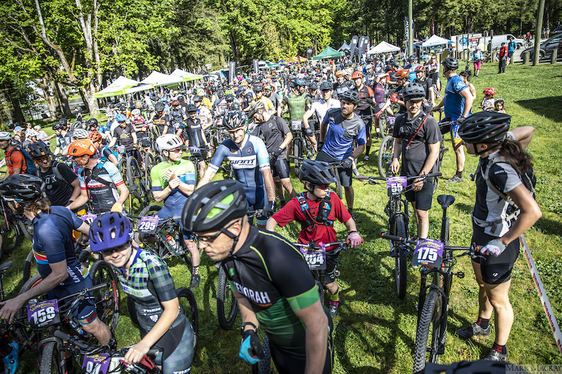 vedder mountain bike company