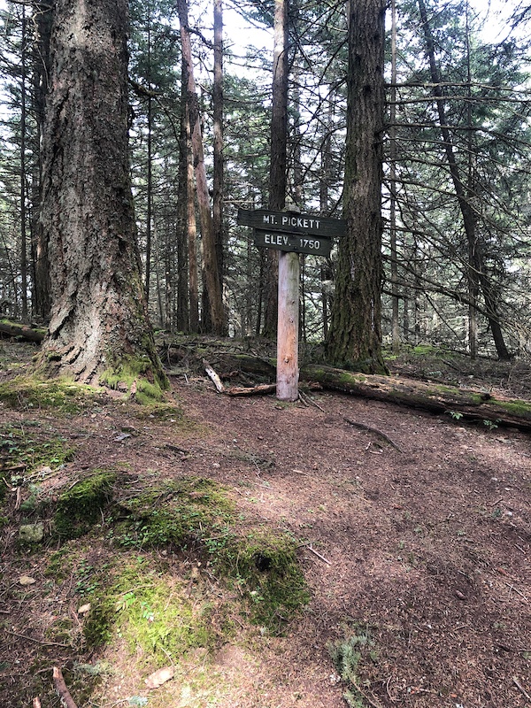Mount Pickett Mountain Biking Trail Eastsound, WA