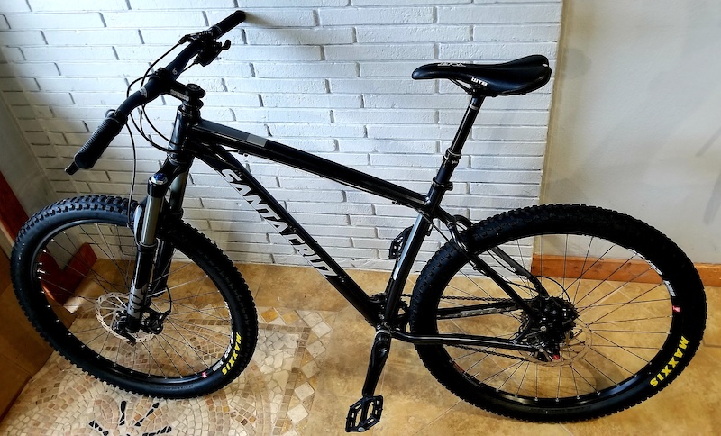 2016 santa discount cruz chameleon d