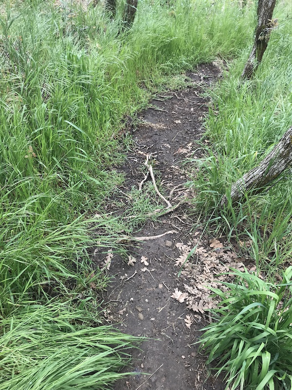 ZigZag Mountain Biking Trail Pleasant Grove, Utah