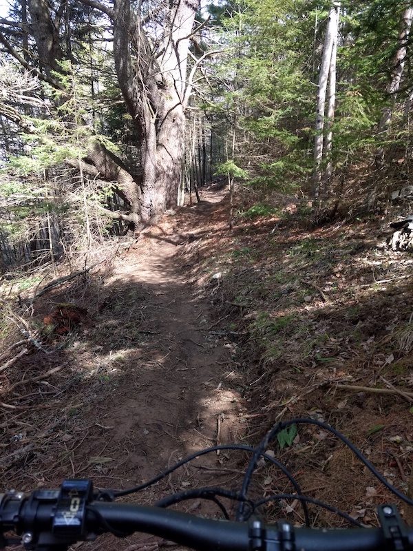 1st Bluff Doubletrack Mountain Biking Trail Sussex