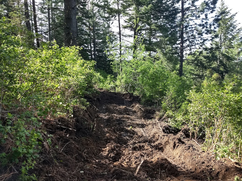 Silicate Slide Mountain Biking Trail - Liberty Lake