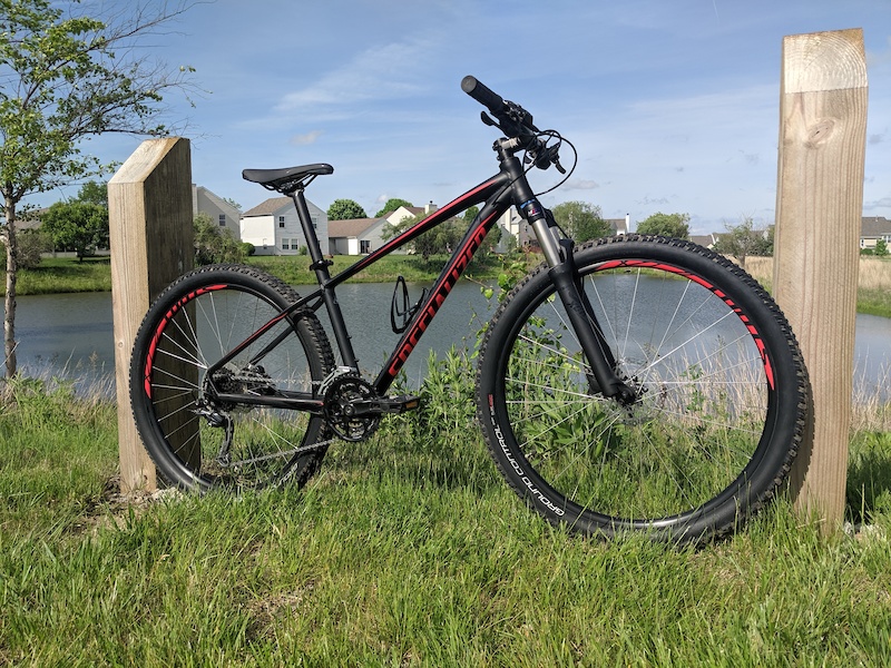 specialized pitch expert 2019 mountain bike