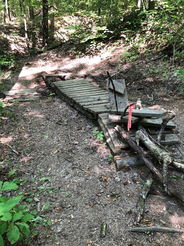 Kettle Bottom Trail Mountain Biking Trail Trenton