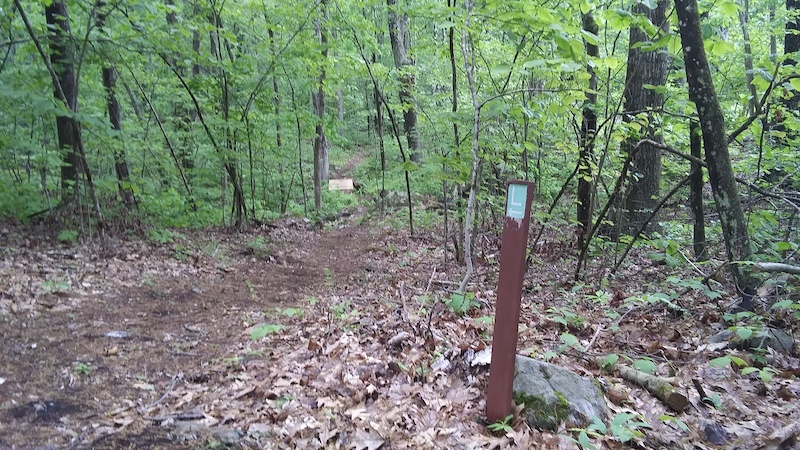 salem hills mountain bike trail