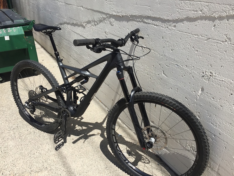 specialized enduro elite satin carbon