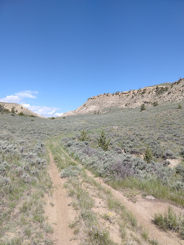 Cotter Pin Mountain Biking Trail - Belfry, Montana