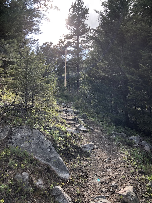 Grouse Mountain Trail Mountain Biking Trail - Buffalo, WY